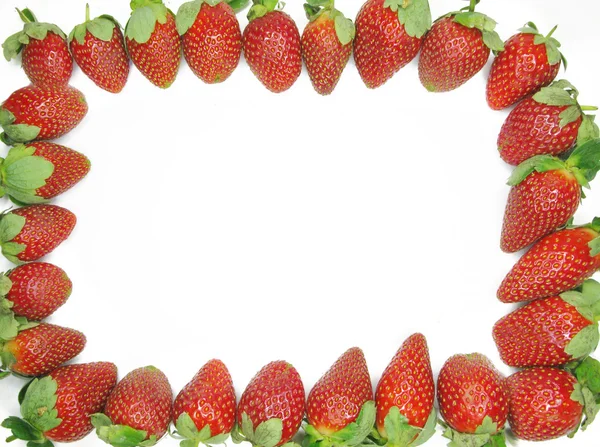 Φράουλα πλαίσιο — Φωτογραφία Αρχείου