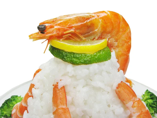 Rice with boiled shrimps and green cauliflower — Stock Photo, Image