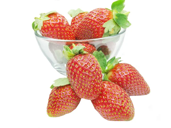 Tas de fraises — Photo