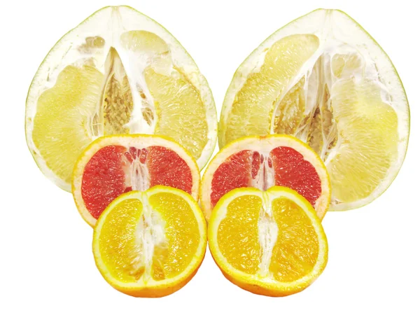 Cutrus frukt cocktail — Stockfoto
