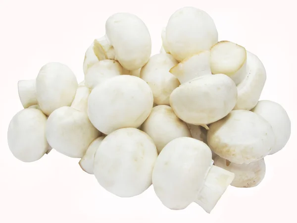 Funghi saporiti bianchi — Foto Stock