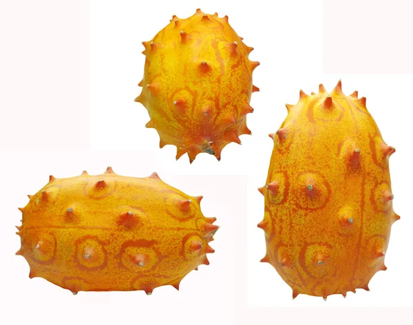 Tres melones con cuernos fructíferos —  Fotos de Stock