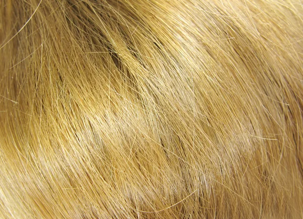 Cabelo loiro coiffure — Fotografia de Stock
