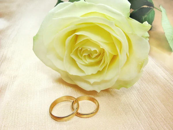 Gele roos en trouwringen — Stockfoto
