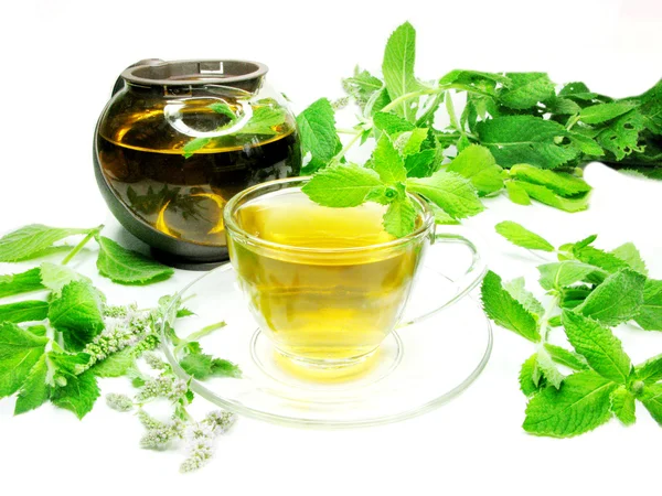 Herbal tea with fresh mint — Stock Photo, Image