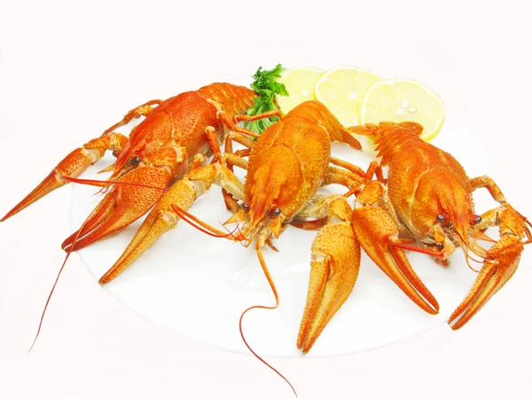 Red river lobsters on plate with lemon — Stock Photo, Image