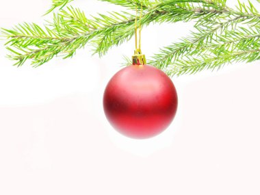 Red christmas ball on fir branch clipart