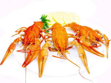 Red cooked river lobsters clipart