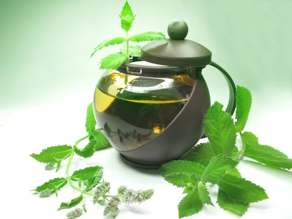 Herbal tea with mint in teapot — Stock Photo, Image