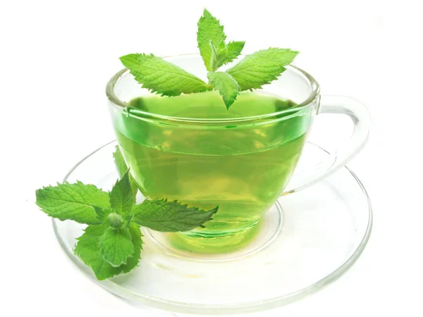 Green herbal tea with mint — Stock Photo, Image