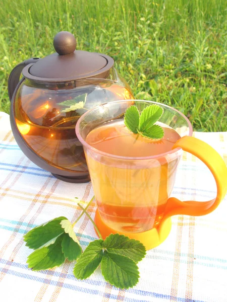 Chá de ervas ao ar livre — Fotografia de Stock