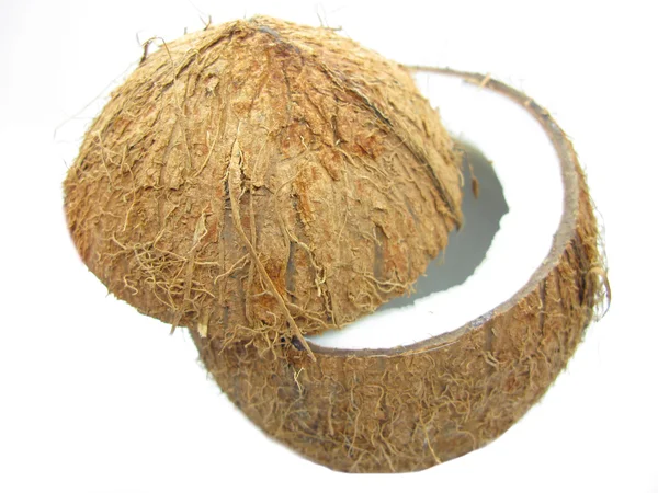 Porca de coco isolada — Fotografia de Stock