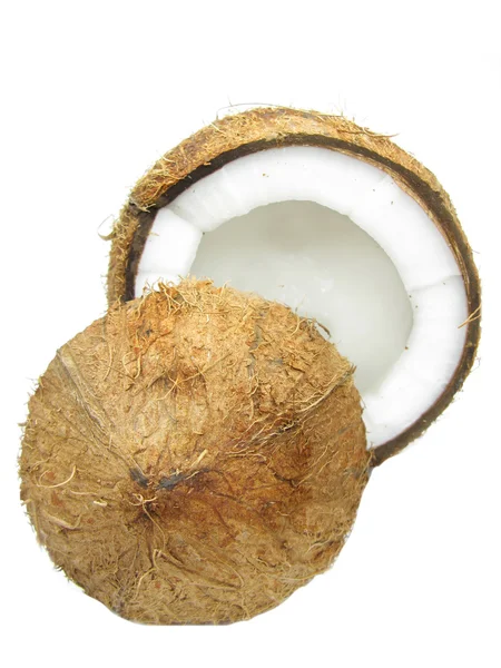 Kokosový ořech, samostatný — Stock fotografie