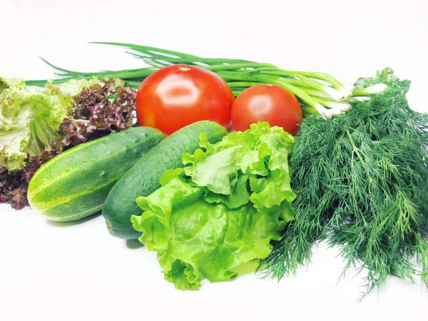 Gurken Tomaten Salat Fenchel Set — Stockfoto