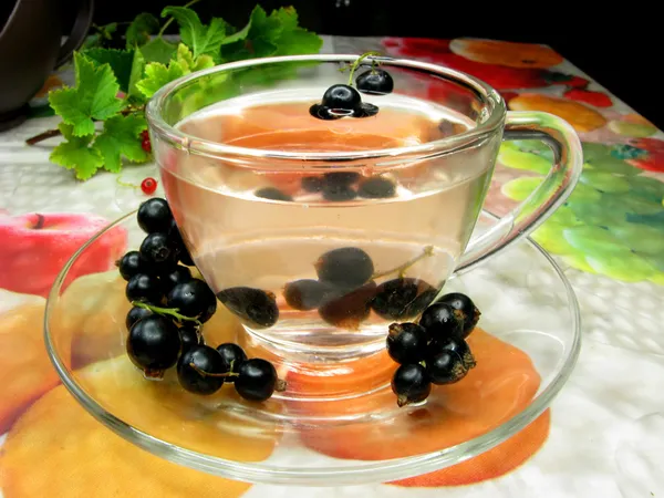 Tè alla frutta con estratto di ribes nero — Foto Stock