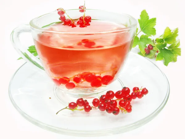 Thé aux fruits avec extrait de groseille rouge — Photo