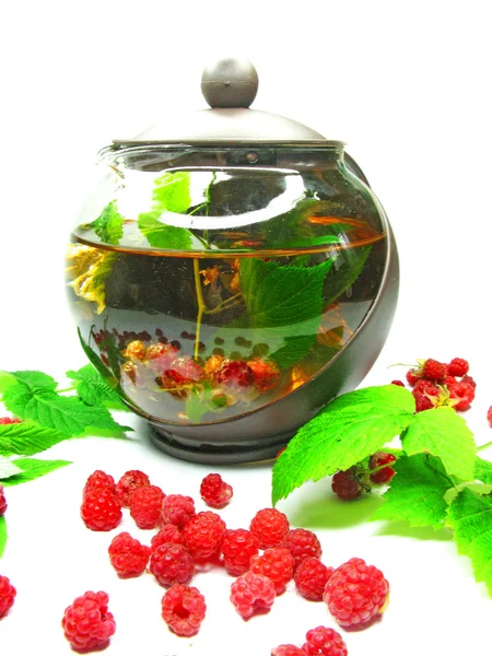 라즈베리 열매와 주전자 — 스톡 사진