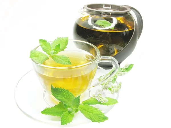 Травяной чай со свежей мятой — стоковое фото