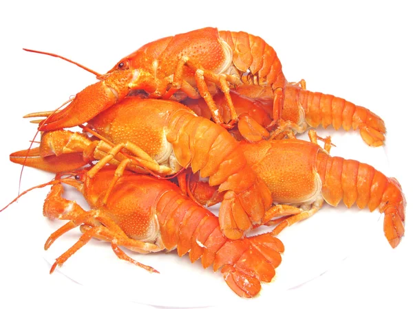 Tumpukan lobster merah rebus — Stok Foto