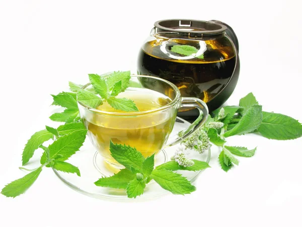 Травяной чай с экстрактом мяты — стоковое фото