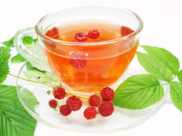 Ekstrakt z herbaty ziołowe z malinami — Zdjęcie stockowe