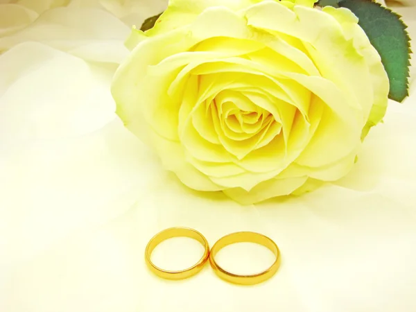 Amarelo rosa e anéis de casamento — Fotografia de Stock