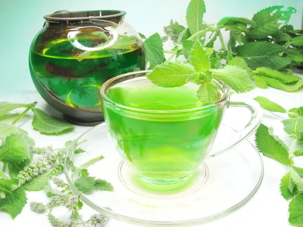 Green herbal tea with mint — Stock Photo, Image