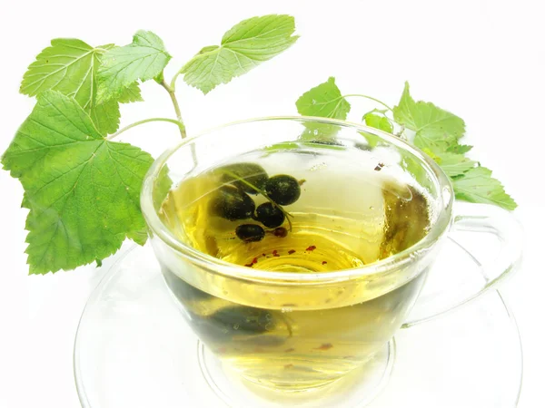 Fruit thee met zwarte bessen extract — Stockfoto