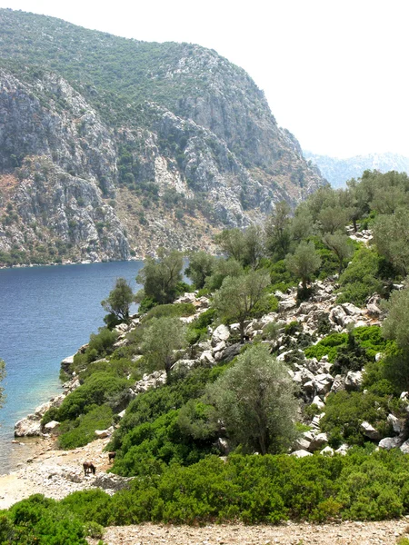 Aegean sea landscape panoramic view — Stock Photo, Image