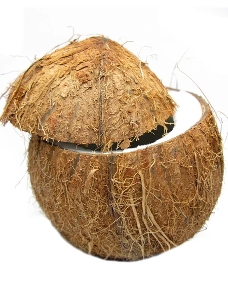椰子坚果或孤立 — 图库照片