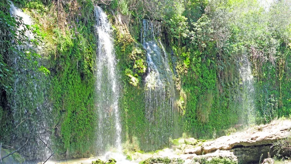 Панорама каскада водопадов в глубоком лесу — стоковое фото