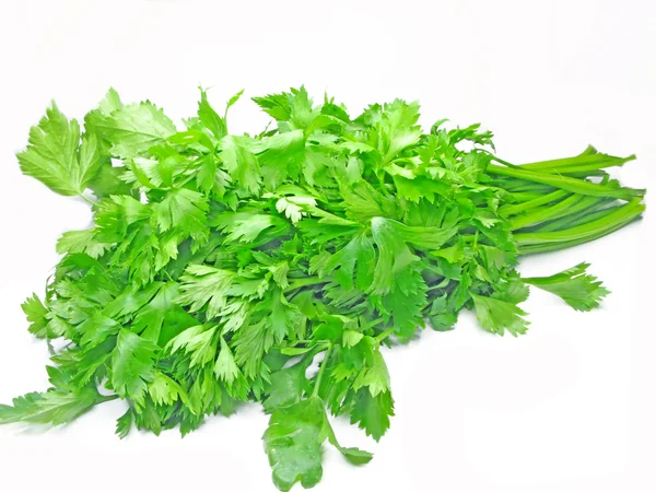 Složka zeleninový salát čerstvý celer — Stock fotografie