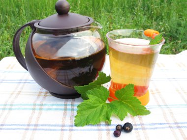 Herbal tea with fresh currant clipart