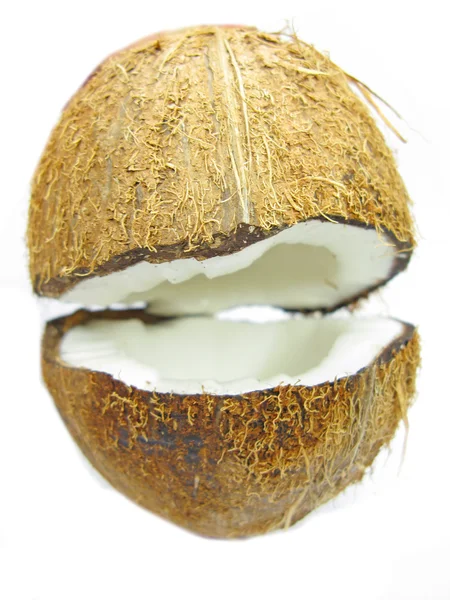 椰子坚果或孤立 — 图库照片