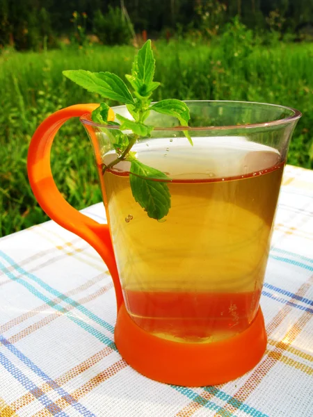 Herbal tea with fresh mint outdoors — Stock Photo, Image