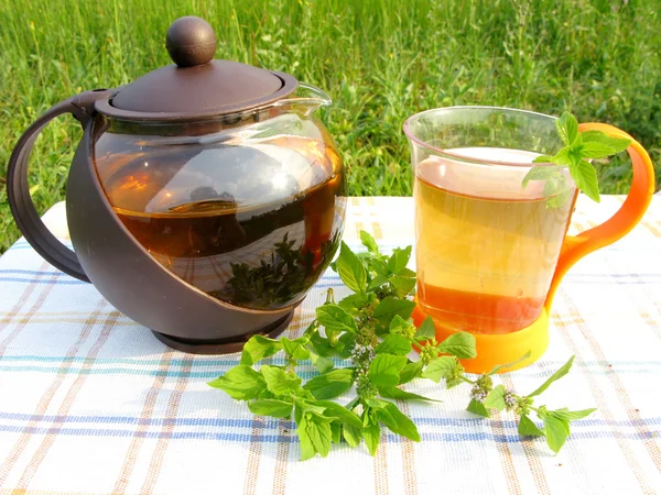Chá de ervas e bule com hortelã fresca — Fotografia de Stock