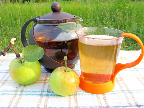 Chá de frutas com maçãs chá-bebendo ao ar livre — Fotografia de Stock