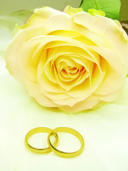 Yellow rose and wedding rings — Stock Photo, Image