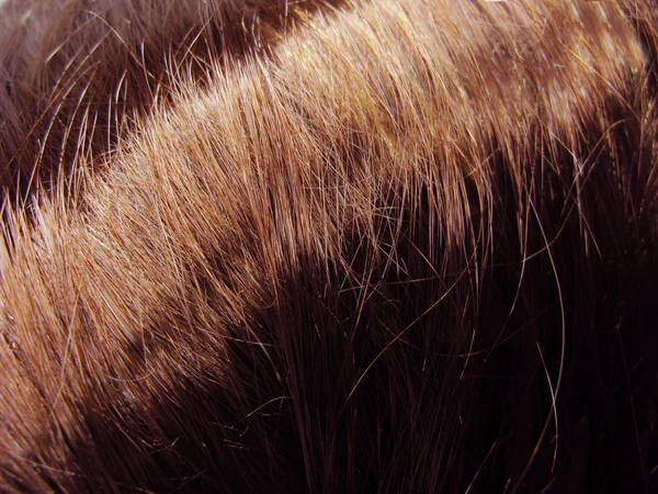 Fondo de textura de pelo oscuro — Foto de Stock