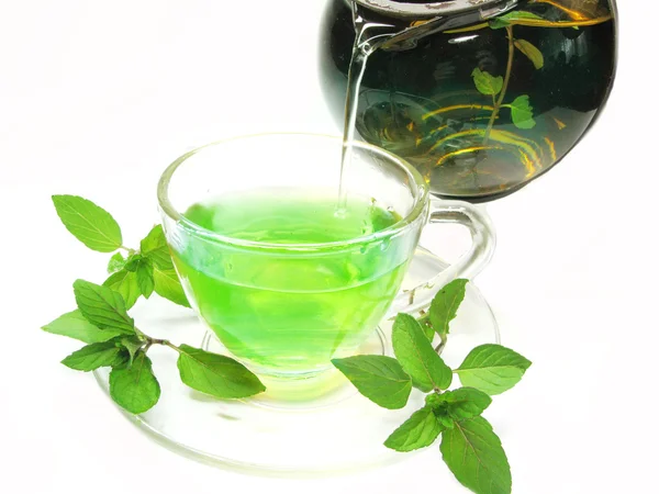 Зеленый травяной чай со свежей мятой — стоковое фото