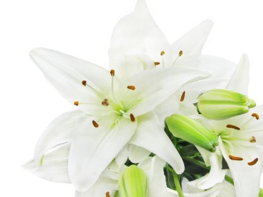 Bouquet of white lilies clipart