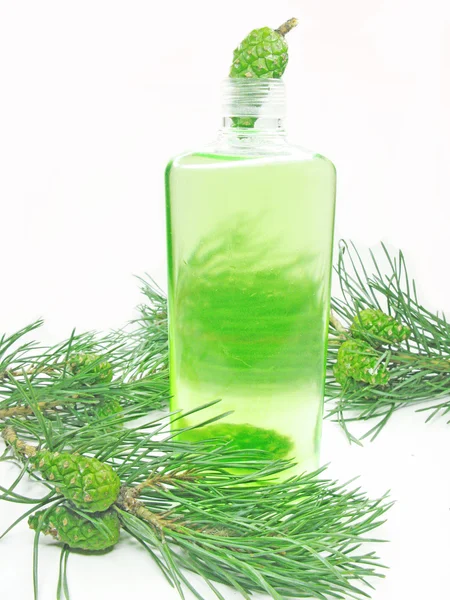 Shower shampoo bottle with fir extract — Stock Photo, Image
