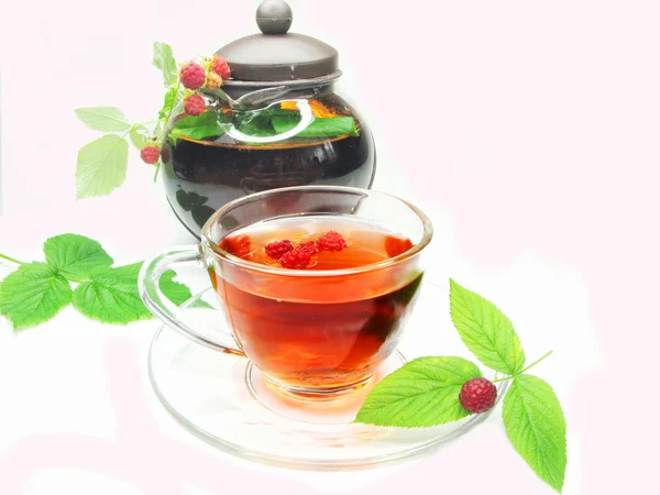 Früchte Himbeere roter Tee mit Johannisbeerextrakt — Stockfoto
