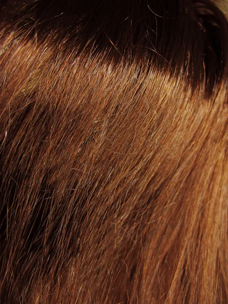 Dark brown hair texture background