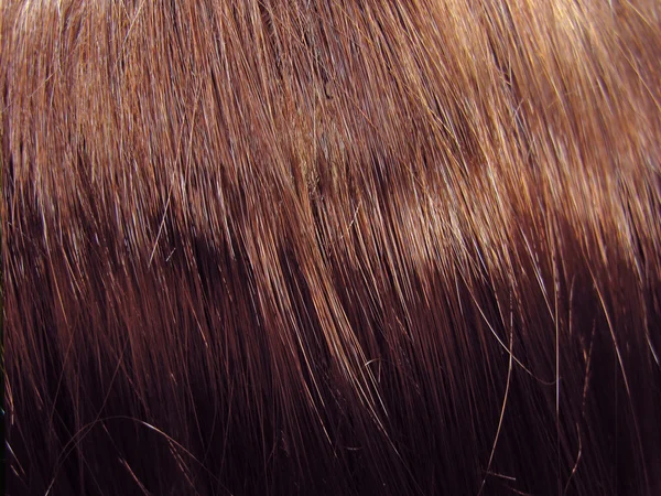 Dark hair texture background — Stock Photo, Image