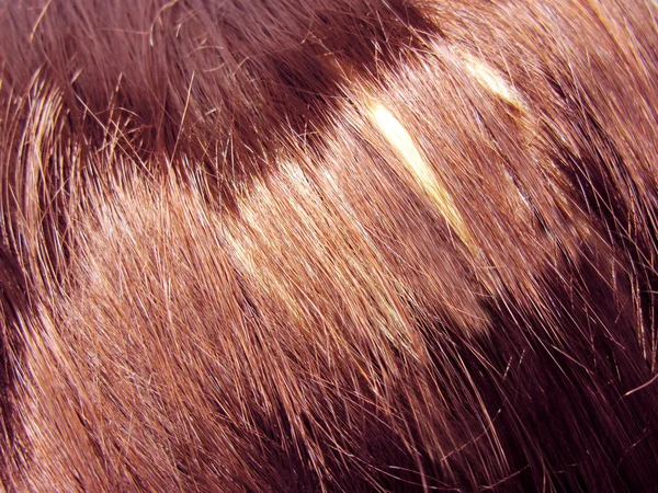 Mörka höjdpunkt hår textur bakgrund — Stockfoto