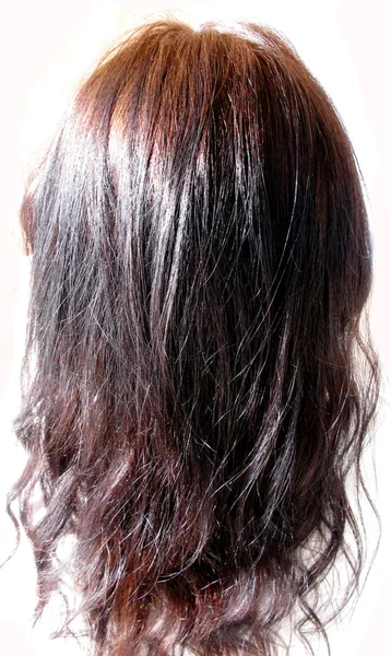 Glänsande svart hår huvud — Stockfoto