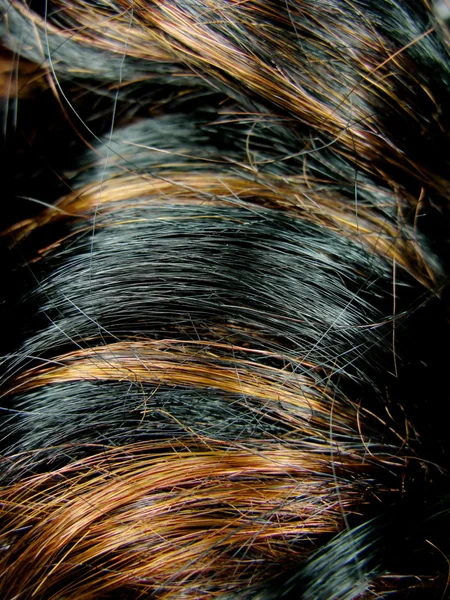 Negro resaltar la textura del cabello fondo — Foto de Stock
