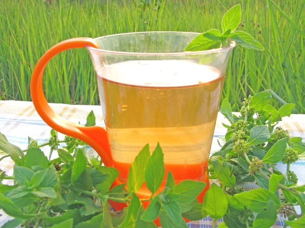 Chá de frutas com hortelã fresca — Fotografia de Stock