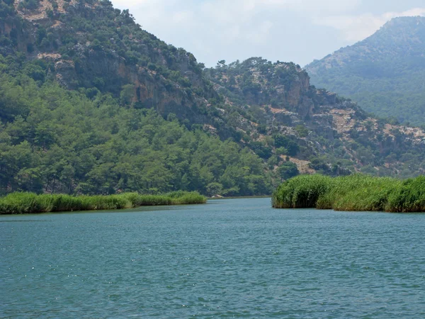 stock image Dalyan river in turkey